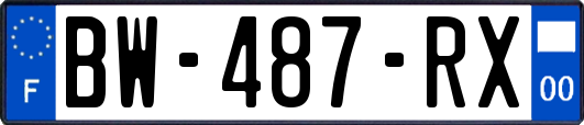 BW-487-RX