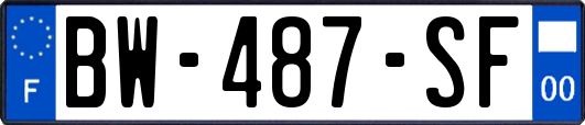BW-487-SF