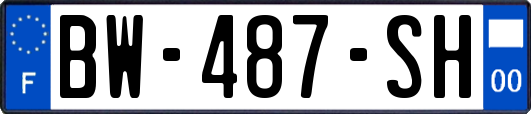 BW-487-SH