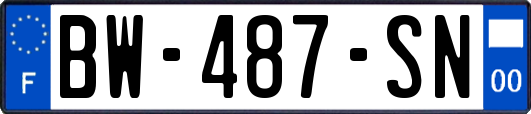 BW-487-SN