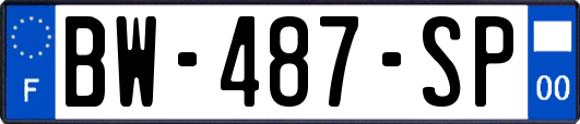 BW-487-SP