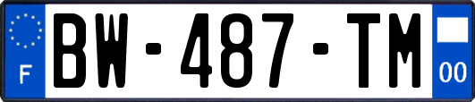 BW-487-TM