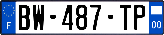BW-487-TP