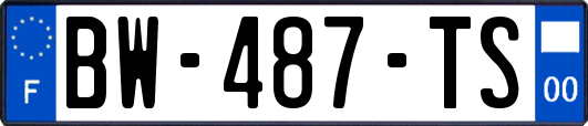 BW-487-TS