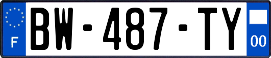 BW-487-TY