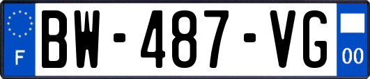 BW-487-VG