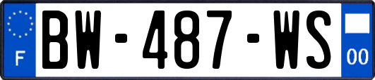 BW-487-WS