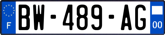 BW-489-AG