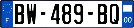 BW-489-BQ