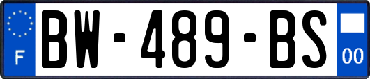 BW-489-BS