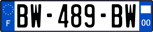 BW-489-BW