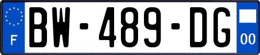 BW-489-DG