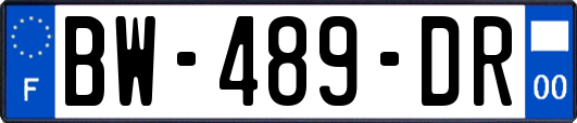 BW-489-DR