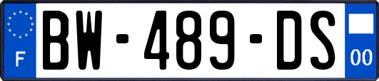 BW-489-DS