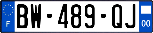 BW-489-QJ
