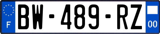 BW-489-RZ