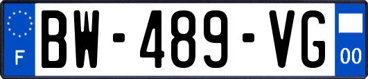 BW-489-VG