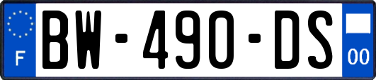 BW-490-DS