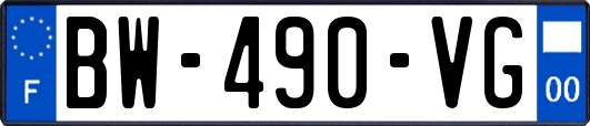 BW-490-VG