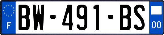 BW-491-BS