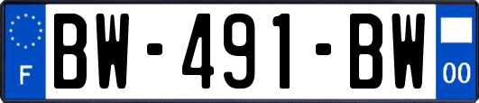 BW-491-BW