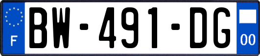 BW-491-DG