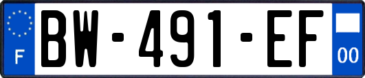 BW-491-EF