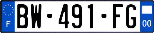 BW-491-FG