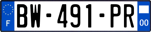 BW-491-PR