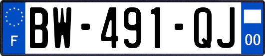 BW-491-QJ