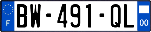 BW-491-QL