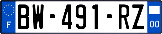 BW-491-RZ