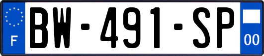 BW-491-SP