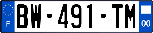 BW-491-TM