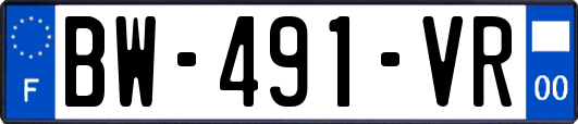 BW-491-VR