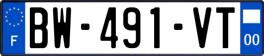 BW-491-VT
