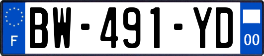 BW-491-YD