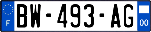 BW-493-AG