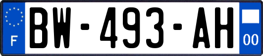 BW-493-AH