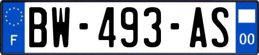 BW-493-AS