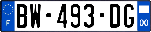 BW-493-DG