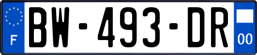 BW-493-DR