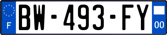 BW-493-FY