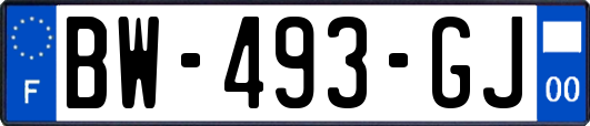 BW-493-GJ