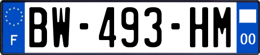 BW-493-HM