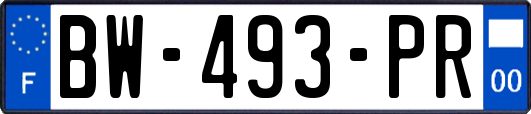 BW-493-PR