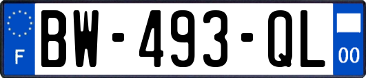 BW-493-QL