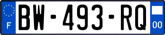 BW-493-RQ
