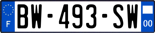 BW-493-SW