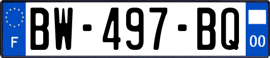 BW-497-BQ